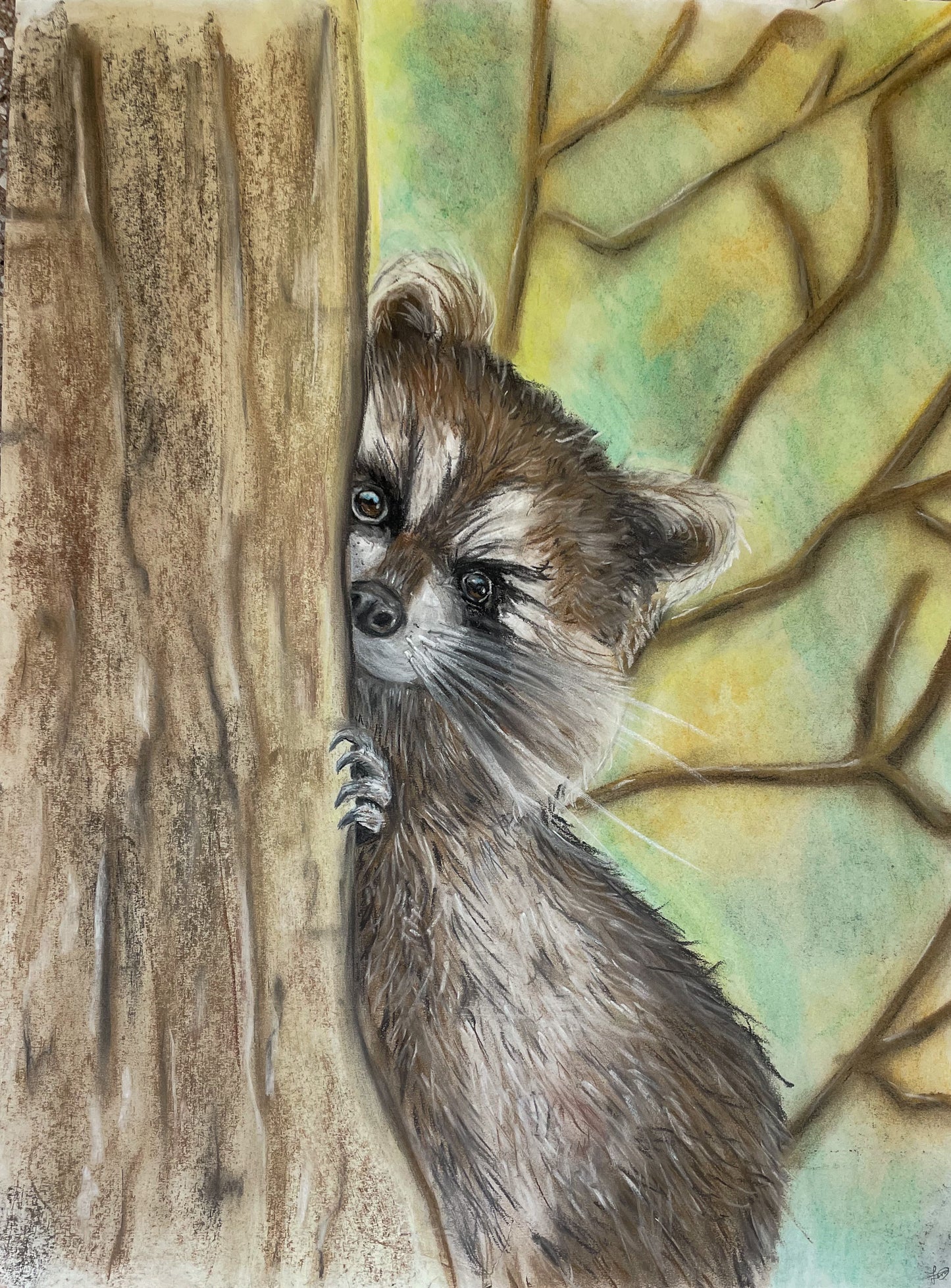 Framed Raccoon Pastel Painting - Original Realism Art, 18x24 inches wall art woodsy forest