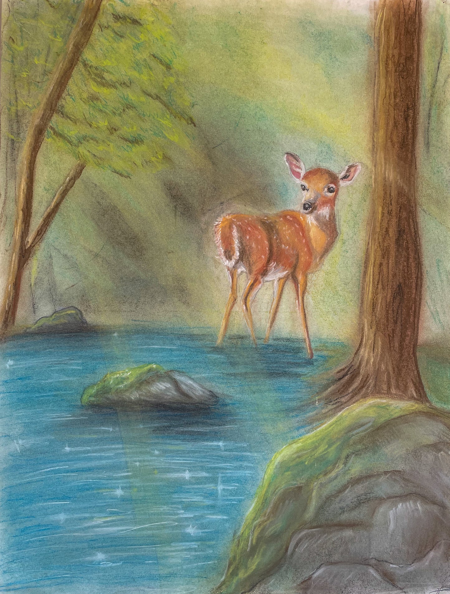 Original Conte Pastel Painting – Framed Deer Wall Art, Woodsy Forest Whimsy (18x24)