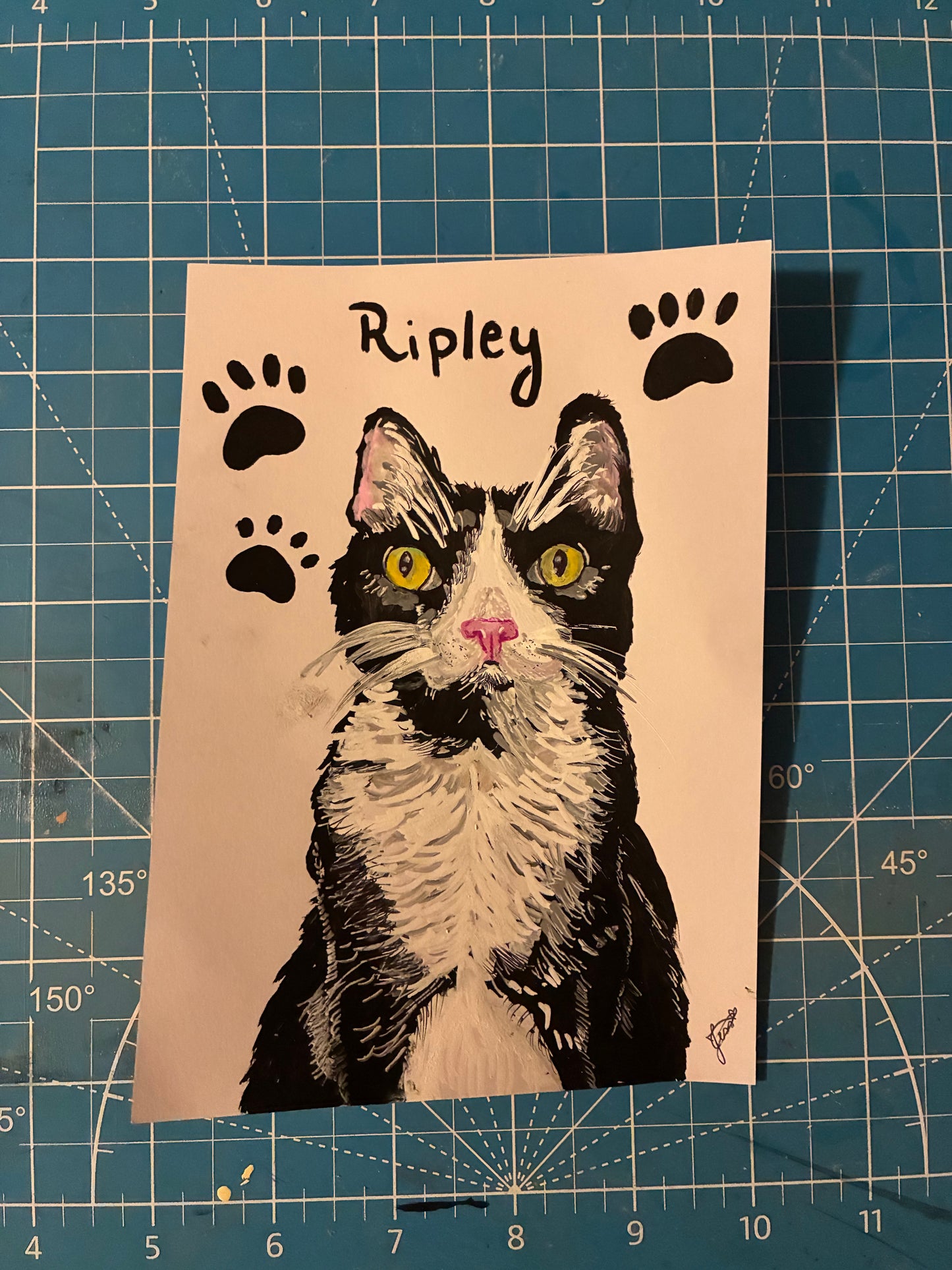 Custom pet drawing (5x7)