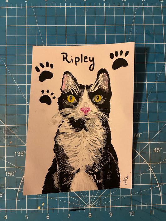 Custom pet drawing (5x7)